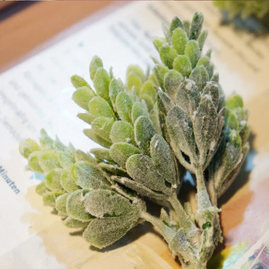 30Pcs/Bundle Fake Green Plant Cheap Artificial Plastic Flowers for Home Table Decorative Wedding Christmas Diy Candy Gift Box