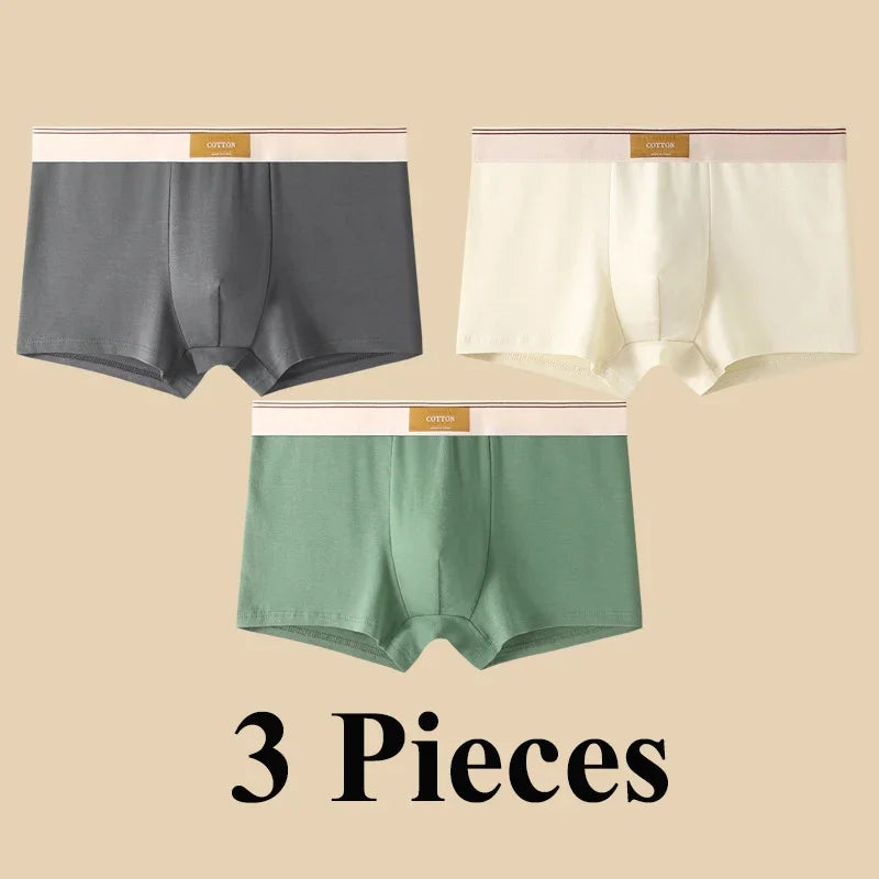 3pcs Shorts Men's Solid Color Underwear Breathable Underpants Sexy Thin Panties U Convex Lingerie Men Panties L-4XL
