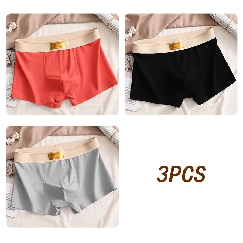 3pcs Men Underwear Cotton BoxerShorts Hombre Panties Man Breathable Underpants Sexy Sports Comfort Male Boxers Large Size L-6XL