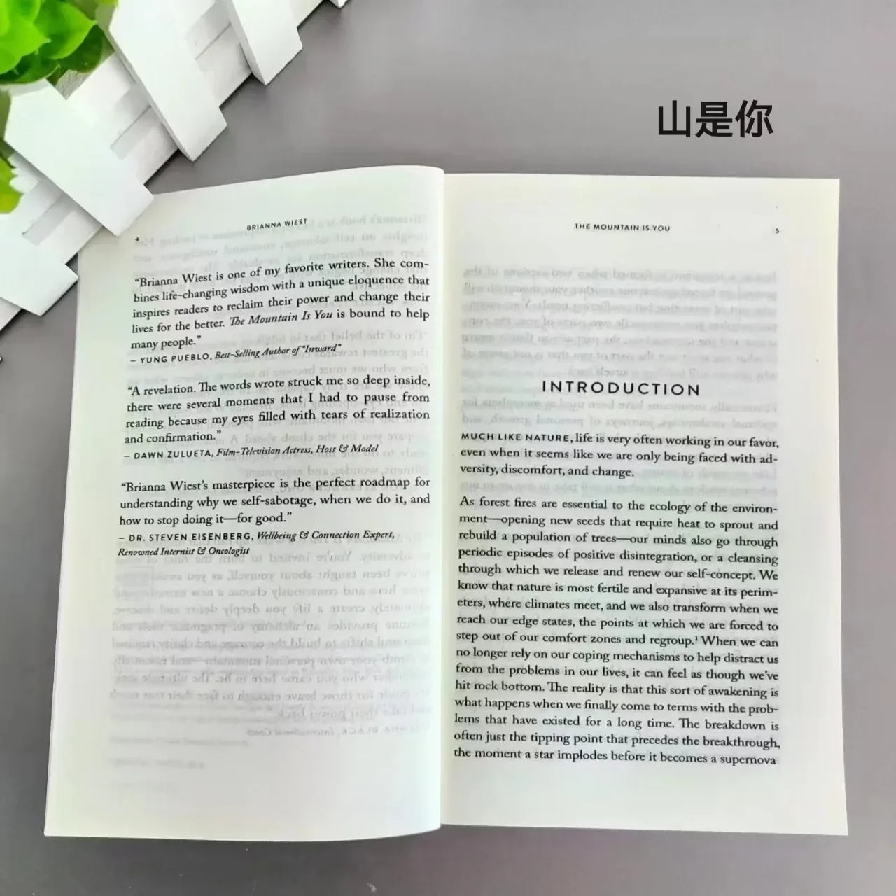 【English Book】 The Mountain Is You: Transforming Self-Sabotage Into Self-Mastery Self-Improvement Book