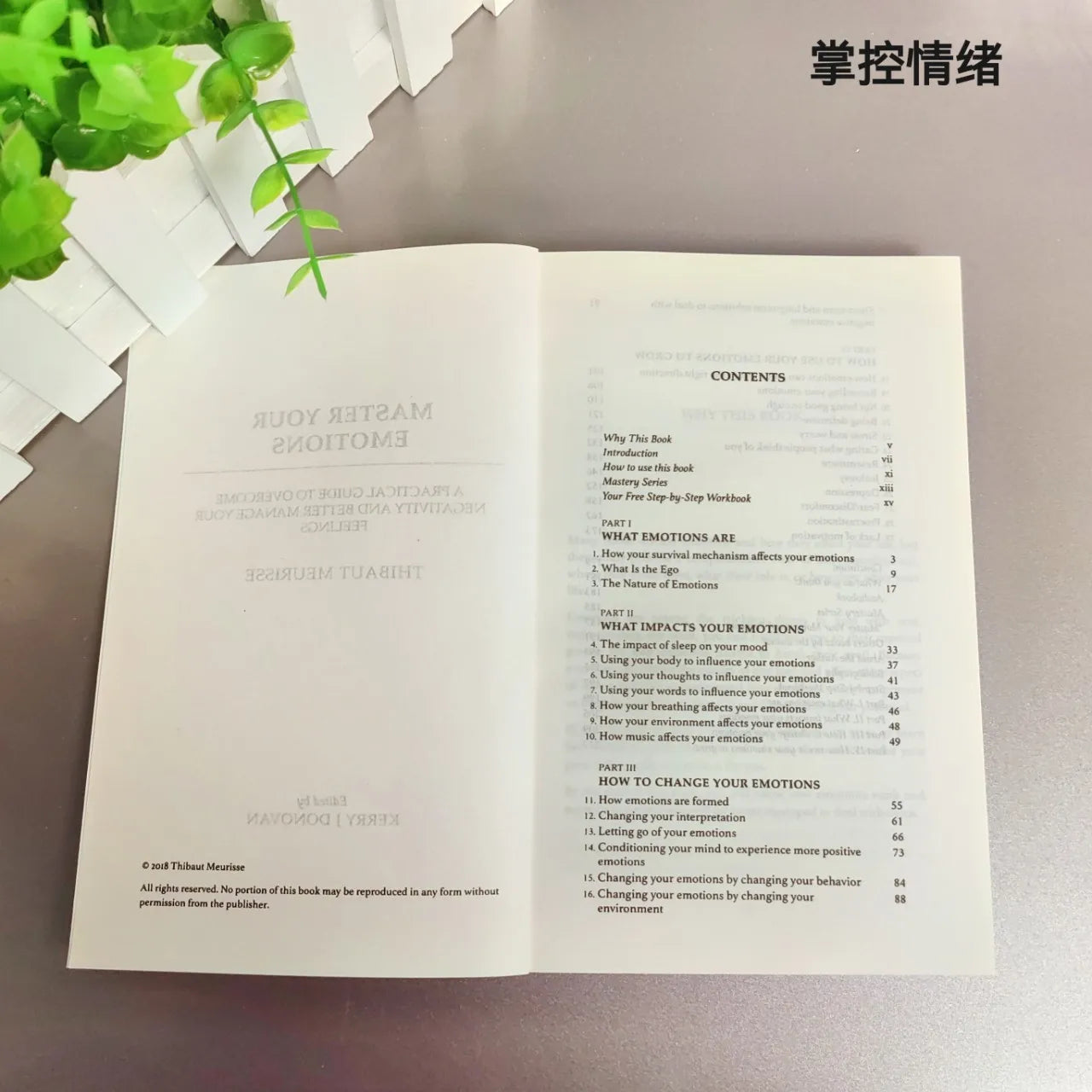 Practical Guide To Mastering Your Emotions English Version