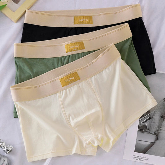 3pcs Shorts Men's Solid Color Underwear Breathable Underpants Sexy Thin Panties U Convex Lingerie Men Panties L-4XL