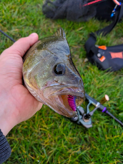 2023 hot Supercontinent worm bait soft bait Tanta Fishy smell fishing lures Pesca carp fishing bass lure Isca artificial PVA