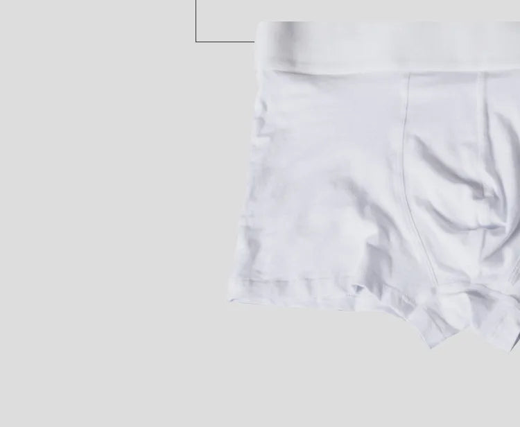 ORLVS Mens Boxer Sexy Underwear Soft Boxershorts Cotton Underpants Male Panties 3D Pouch Shorts Under Wear Pants Short