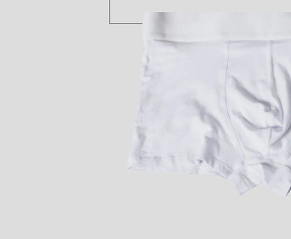 ORLVS Mens Boxer Sexy Underwear Soft Boxershorts Cotton Underpants Male Panties 3D Pouch Shorts Under Wear Pants Short