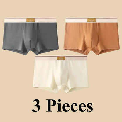 3pcs Shorts Men's Solid Color Underwear Breathable Underpants Sexy Thin Panties U Convex Lingerie  Men Panties L-4XL