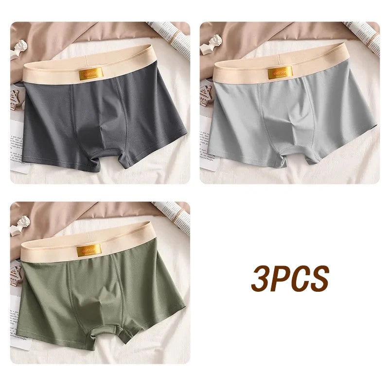3pcs Men Underwear Cotton BoxerShorts Hombre Panties Man Breathable Underpants Sexy Sports Comfort Male Boxers Large Size L-6XL
