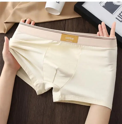 3pcs Shorts Men's Solid Color Underwear Breathable Underpants Sexy Thin Panties U Convex Lingerie  Men Panties L-4XL