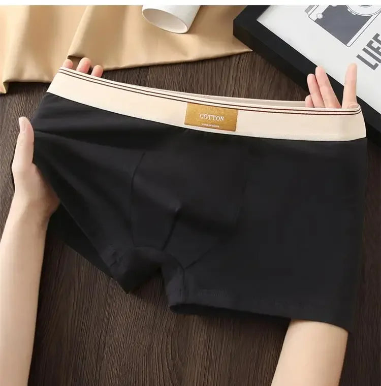 3pcs Shorts Men's Solid Color Underwear Breathable Underpants Sexy Thin Panties U Convex Lingerie  Men Panties L-4XL