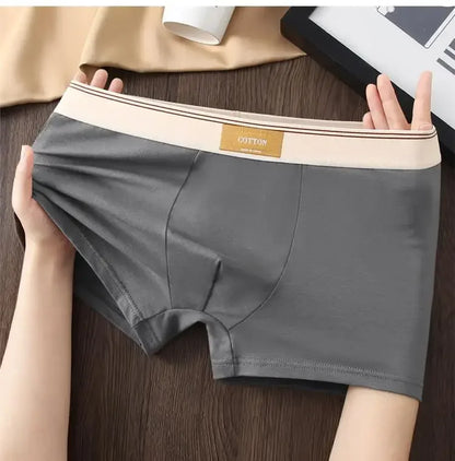 3pcs Shorts Men's Solid Color Underwear Breathable Underpants Sexy Thin Panties U Convex Lingerie  Men Panties L-4XL