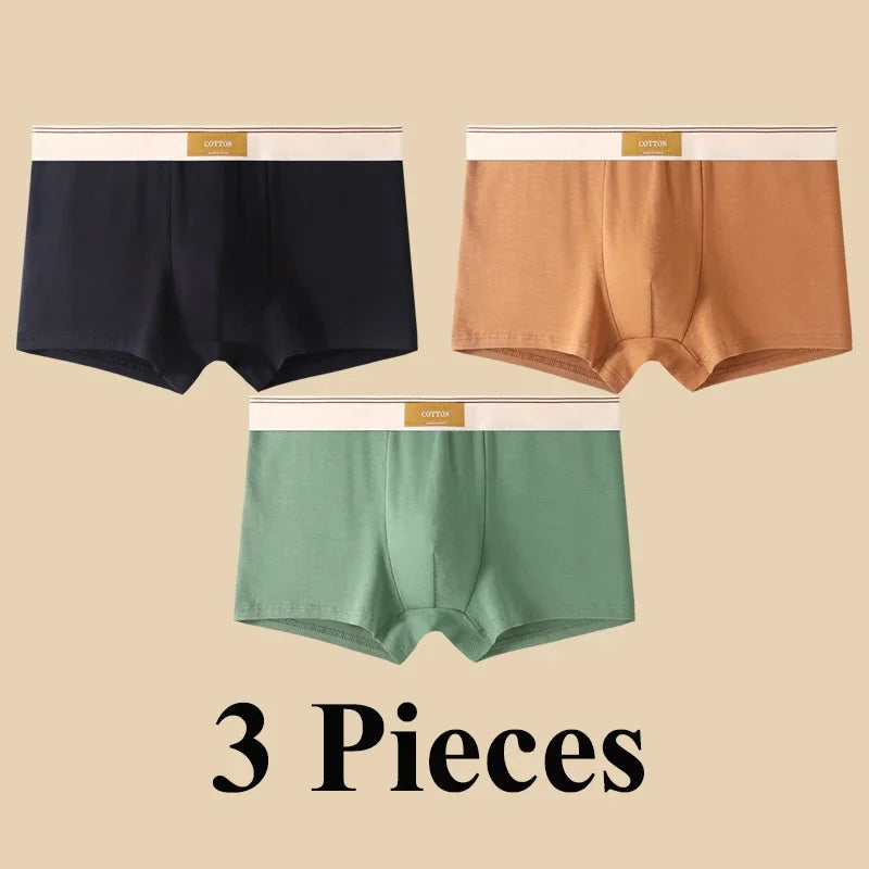 3pcs Shorts Men's Solid Color Underwear Breathable Underpants Sexy Thin Panties U Convex Lingerie  Men Panties L-4XL