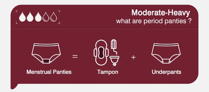 Seamless Period Underwear Girls High Waist Menstruation Panties Women's Menstrual Panties Ladies Menstrual Underwear Leak Proof