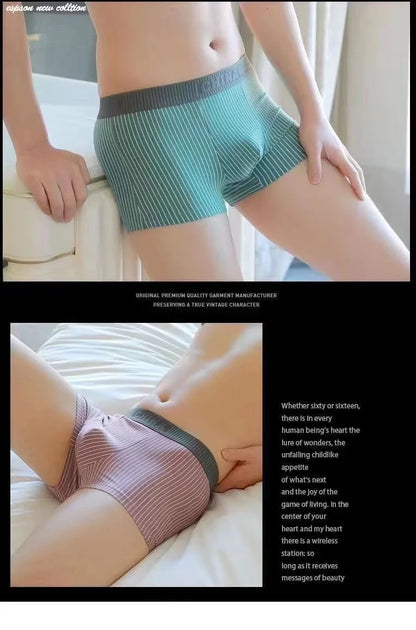 1Pcs Boxer Shorts Men's Underwear Sexy Panties Cotton Striped Man Underpants Male Boxers Homme U Convex Lingerie Free Shipping