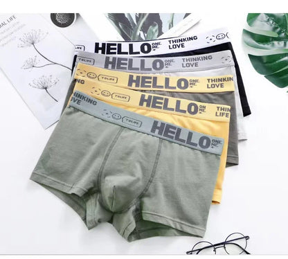 6Pcs Men Underwear Boys Cotton Underpants Male Pure Men Panties Shorts Breathable Boxer Shorts Comfortable soft Plus size