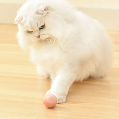لعبة القطط المتحركة التلقائية، الكرة التفاعلية، الكرة الكهربائية المتدحرجة القابلة لإعادة الشحن، ملحقات الحيوانات الأليفة المنزلية، أشياء للإمدادات