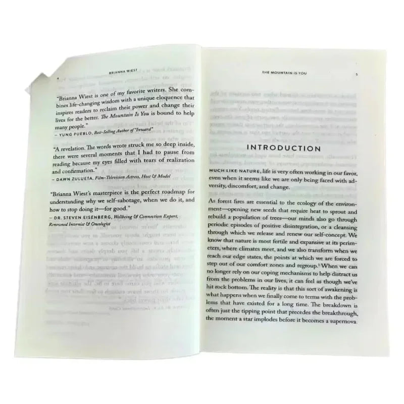 The Mountain Is You: Transforming Self-Sabotage Into Self-mastery English Books Birthday Gifts