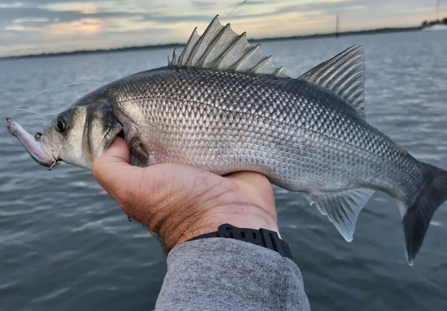 TEKNIK Popper Fishing Lure 100mm 140mm patchinco Floating Wobblers Artificial Hard Bait Patchinko 100 leurre de surface lures