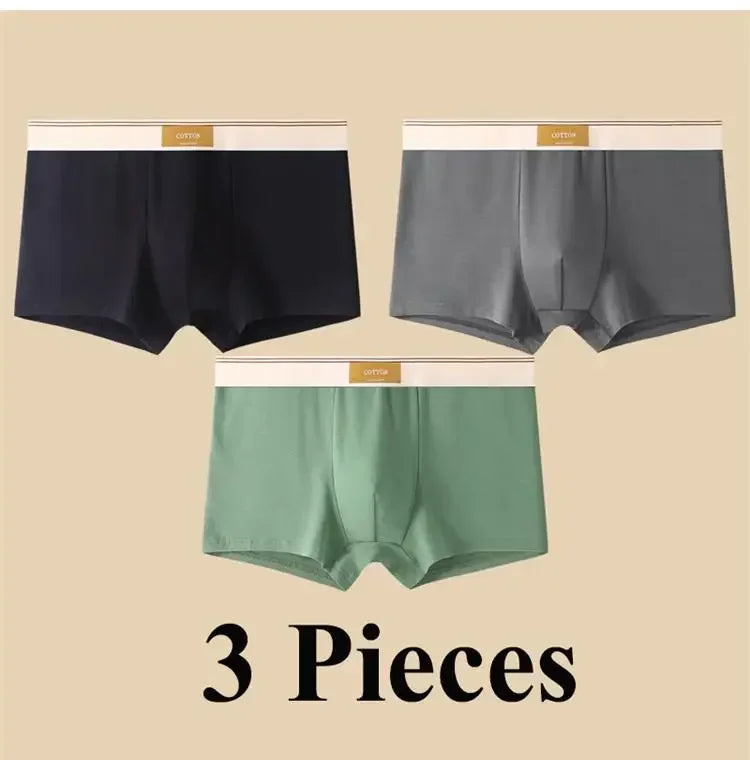 3pcs Shorts Men's Solid Color Underwear Breathable Underpants Sexy Thin Panties U Convex Lingerie  Men Panties L-4XL