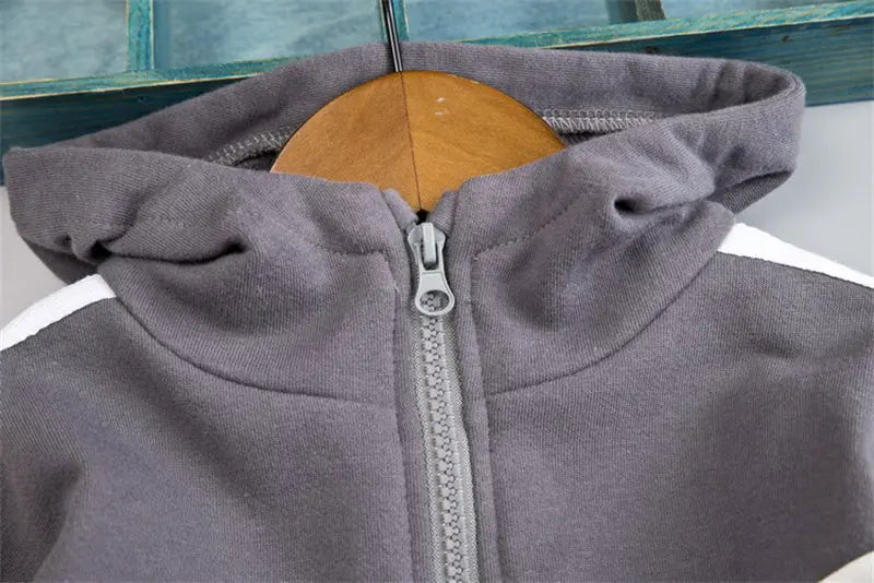 Kids Kids Clothes Children Cartoon Hooded Jackets Pants 2Pcs/Set Toddler Fashion Cotton Clothing Infant Tracksuits 0-5 Years