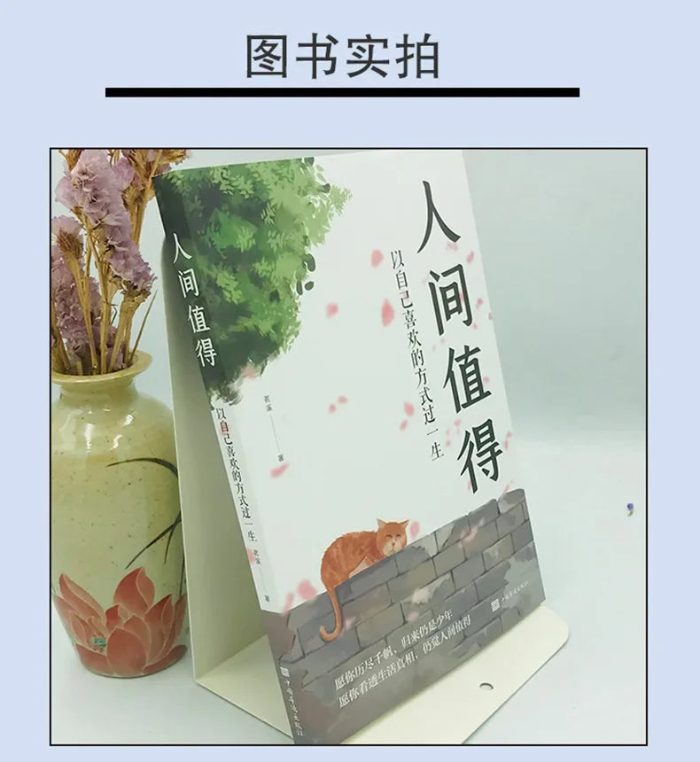 Inspirational Books Worth Learning in The World, Live Your Life in The Way You Like, Have Positive Energy, and Grow Up in Youth