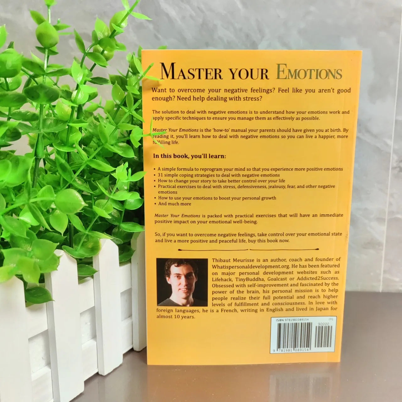Practical Guide To Mastering Your Emotions English Version