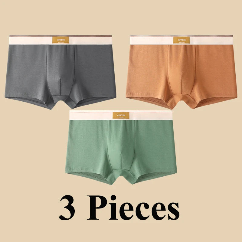 3pcs Shorts Men's Solid Color Underwear Breathable Underpants Sexy Thin Panties U Convex Lingerie  Men Panties L-4XL