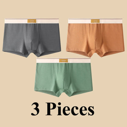 3pcs Shorts Men's Solid Color Underwear Breathable Underpants Sexy Thin Panties U Convex Lingerie  Men Panties L-4XL