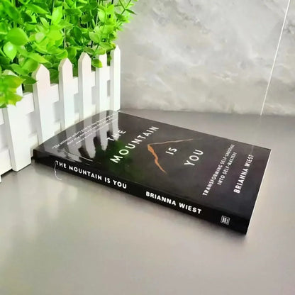【IN STOCK】The Mountain Is You: Transforming Self-Sabotage Into Self-mastery English Books