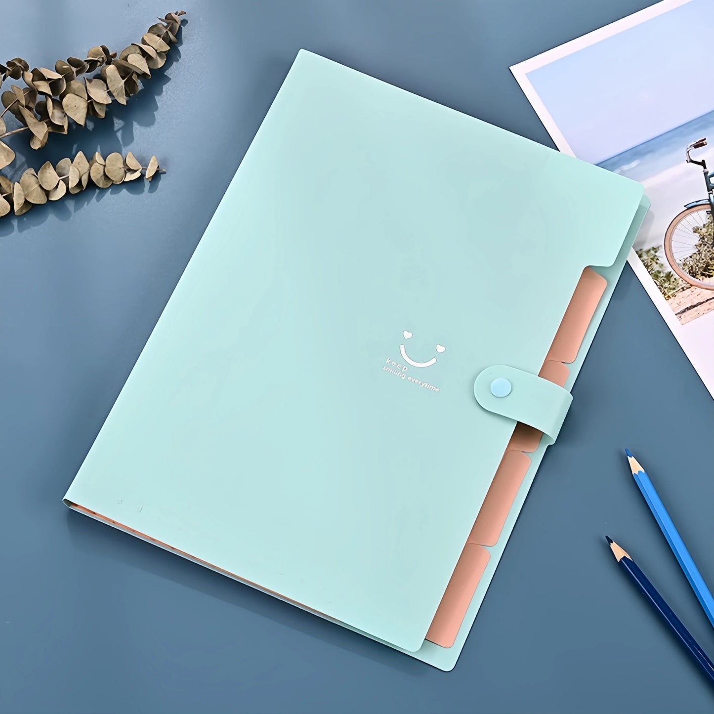 A4 Multi-Layer Folder File Bag Candy Color Five Grid Organ Bags Large Capacity Korean Simple Office School Supplies Stationery