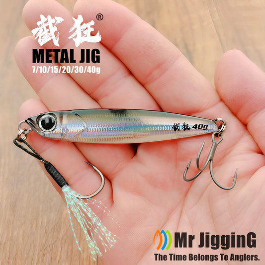 Mr JigginG Fast Sinking Metal Jig Lure 10/15/20/30/40g Saltwater Shore Casting Fishing Sea Bass Metal Jig Artificial Bait Tackle