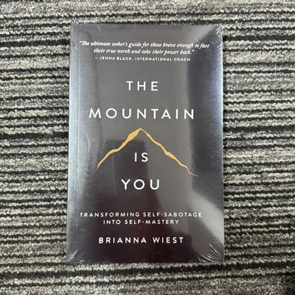 【IN STOCK】The Mountain Is You: Transforming Self-Sabotage Into Self-mastery English Books
