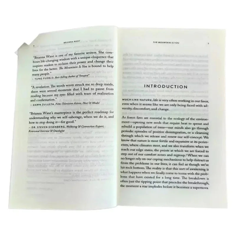 The Mountain Is You: Transforming Self-Sabotage Into Self-mastery English Books Birthday Gifts