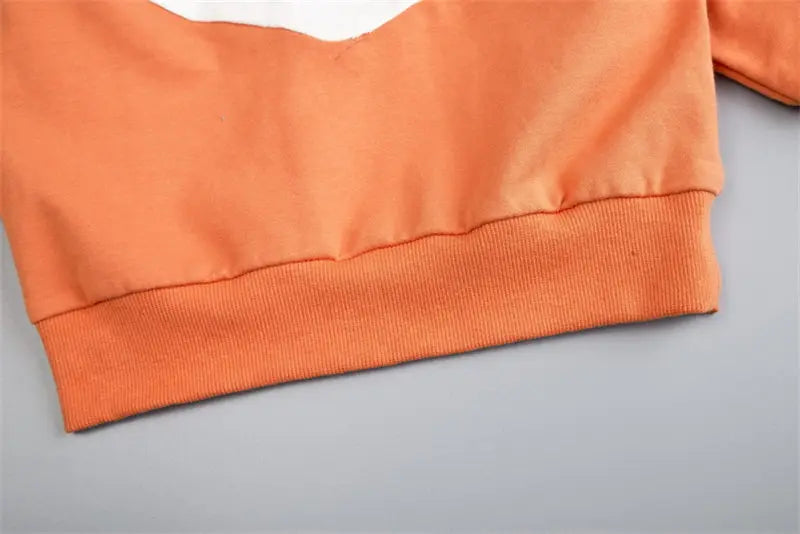 Kids Kids Clothes Children Cartoon Hooded Jackets Pants 2Pcs/Set Toddler Fashion Cotton Clothing Infant Tracksuits 0-5 Years