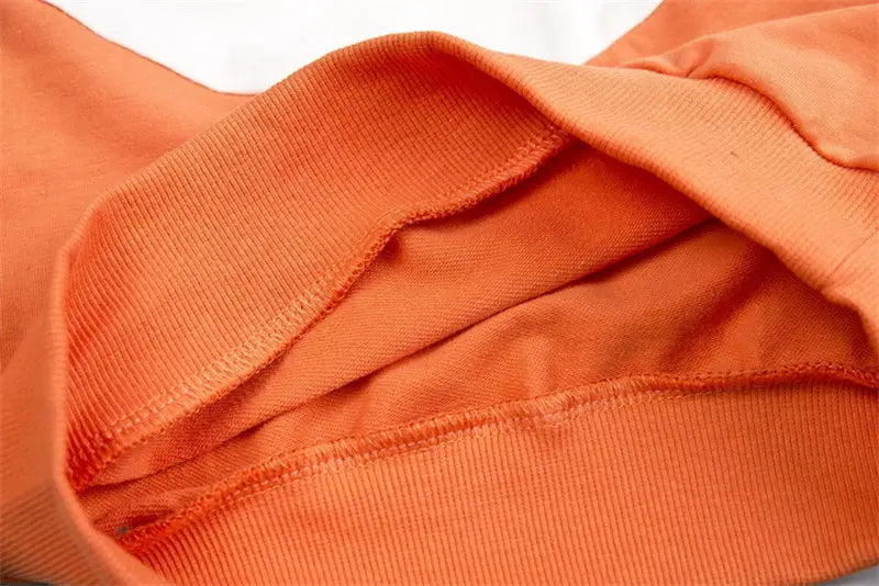 Kids Kids Clothes Children Cartoon Hooded Jackets Pants 2Pcs/Set Toddler Fashion Cotton Clothing Infant Tracksuits 0-5 Years