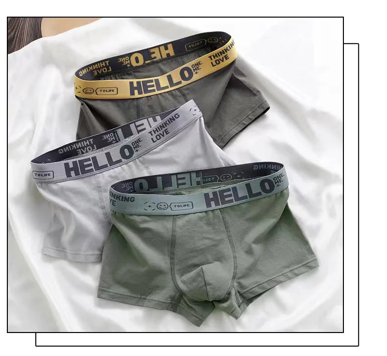 5pcs Men's Underwear, Breathable Comfy Quick Drying Stretchy Boxer Trunks, Sexy Underpants, Men's Trendy Boxer Panties