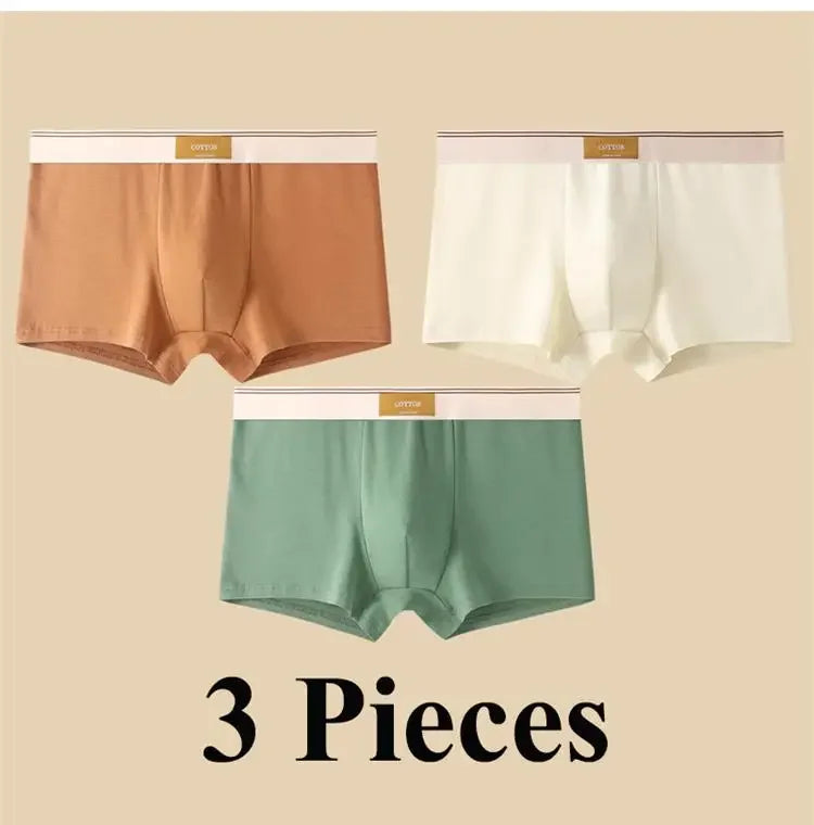 3pcs Shorts Men's Solid Color Underwear Breathable Underpants Sexy Thin Panties U Convex Lingerie  Men Panties L-4XL