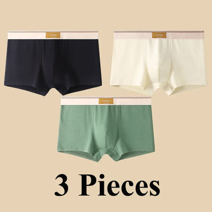 3pcs Shorts Men's Solid Color Underwear Breathable Underpants Sexy Thin Panties U Convex Lingerie  Men Panties L-4XL