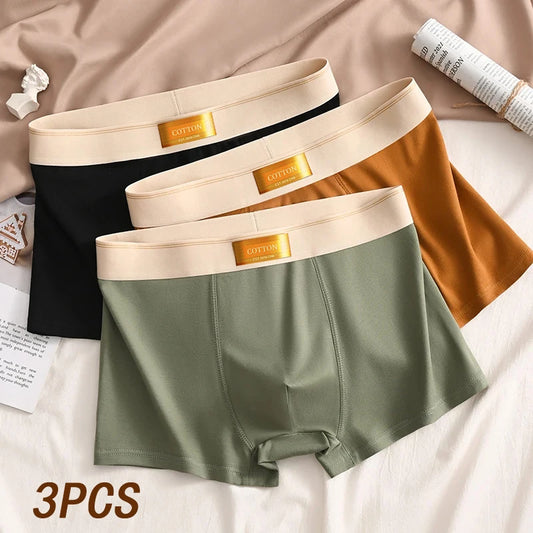 3pcs Men Underwear Cotton BoxerShorts Hombre Panties Man Breathable Underpants Sexy Sports Comfort Male Boxers Large Size L-6XL