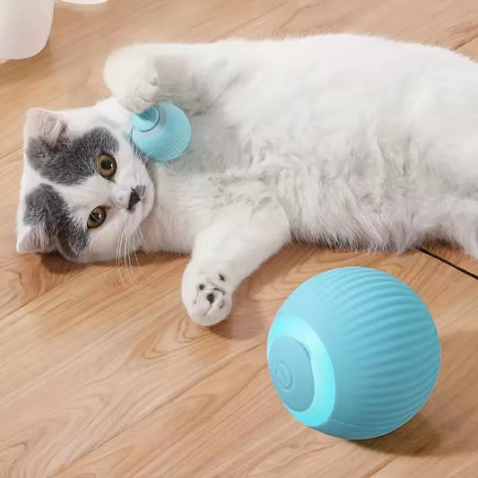 Automatic Moving Cats Toy Interactive Ball Rechargeable Rolling Electric Ball Home Pet Accessories Things for Supplies