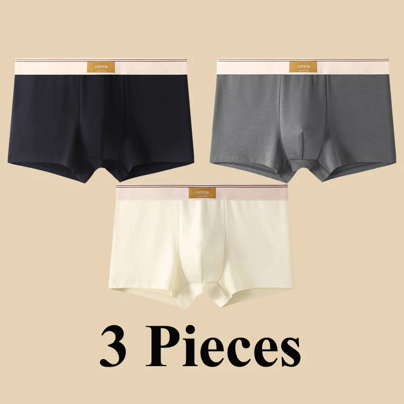 3pcs Shorts Men's Solid Color Underwear Breathable Underpants Sexy Thin Panties U Convex Lingerie  Men Panties L-4XL