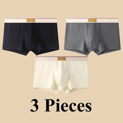 3pcs Shorts Men's Solid Color Underwear Breathable Underpants Sexy Thin Panties U Convex Lingerie  Men Panties L-4XL
