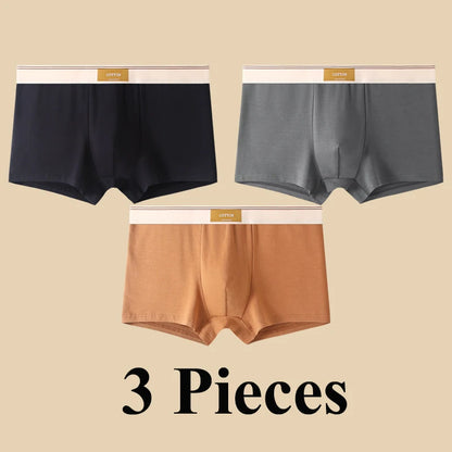 3pcs Shorts Men's Solid Color Underwear Breathable Underpants Sexy Thin Panties U Convex Lingerie  Men Panties L-4XL