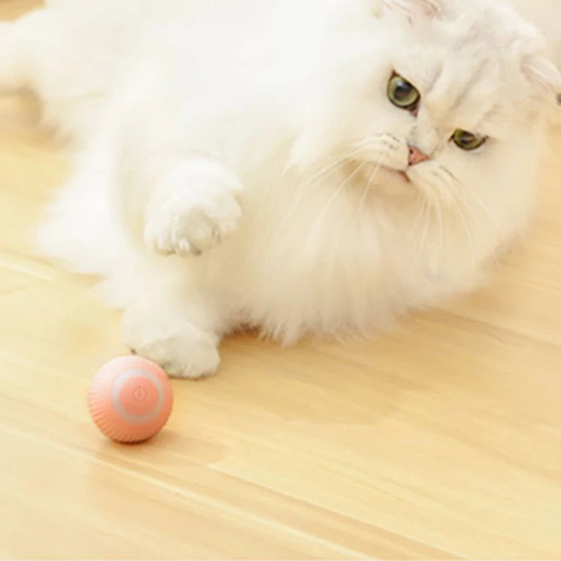 لعبة القطط المتحركة التلقائية، الكرة التفاعلية، الكرة الكهربائية المتدحرجة القابلة لإعادة الشحن، ملحقات الحيوانات الأليفة المنزلية، أشياء للإمدادات