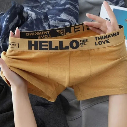 6Pcs Men Underwear Boys Cotton Underpants Male Pure Men Panties Shorts Breathable Boxer Shorts Comfortable soft Plus size