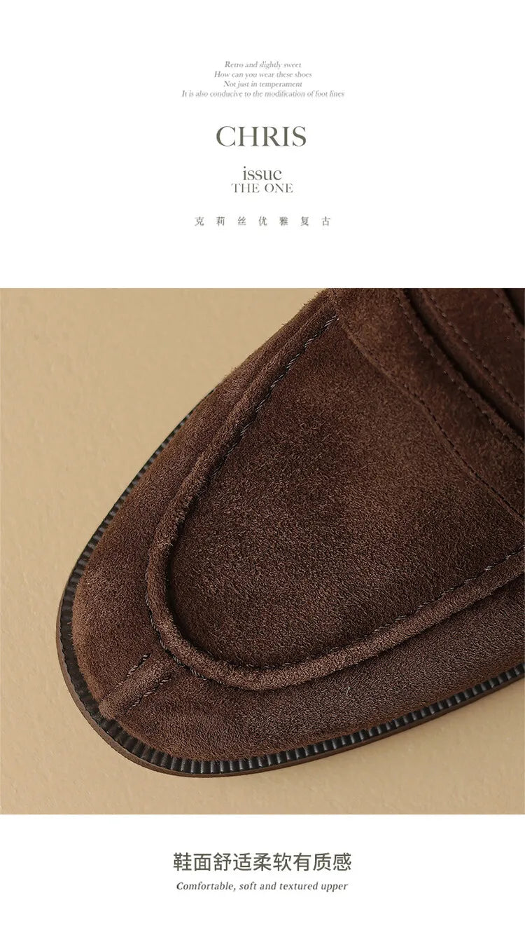 Shoes for Women 2024 Summer Brown Casual Flats Ladies Shoe Fashion Suede Loafers Soft Sole Non-Slip Feminino Zapatos Mujer