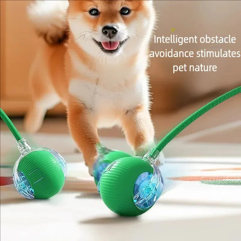 Smart Cat Toys Automatic Rolling Ball Fake Tail Rechargeable Electric Pet Interactive Toy Dog Cat Training Imitate Mouse Tail