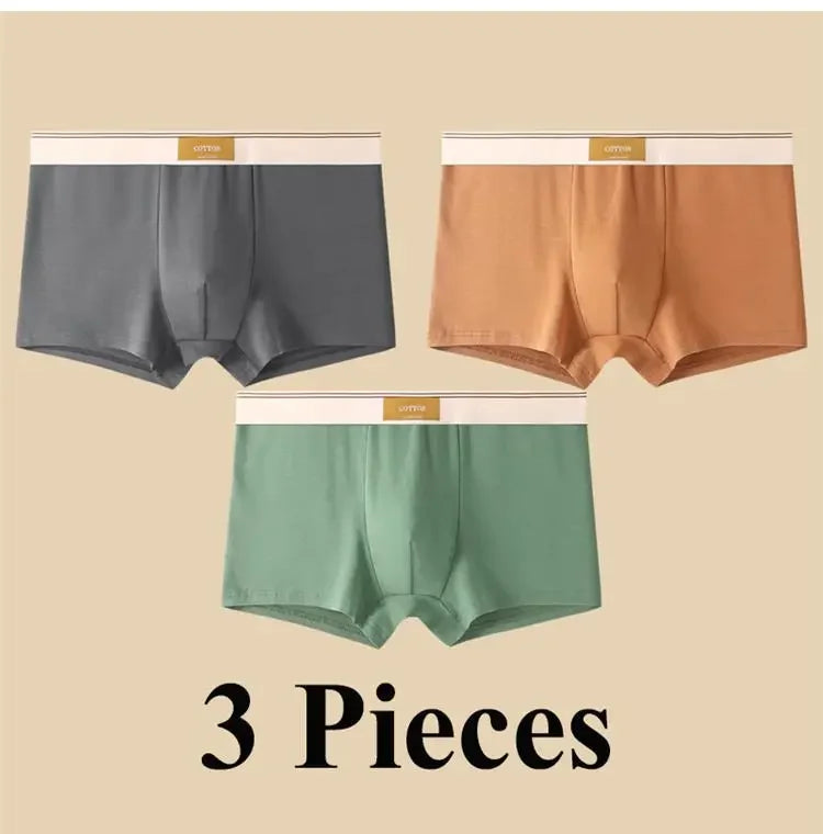 3pcs Shorts Men's Solid Color Underwear Breathable Underpants Sexy Thin Panties U Convex Lingerie  Men Panties L-4XL