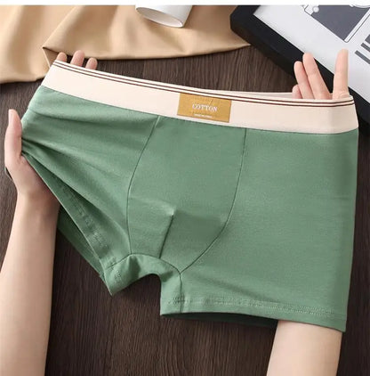 3pcs Shorts Men's Solid Color Underwear Breathable Underpants Sexy Thin Panties U Convex Lingerie  Men Panties L-4XL
