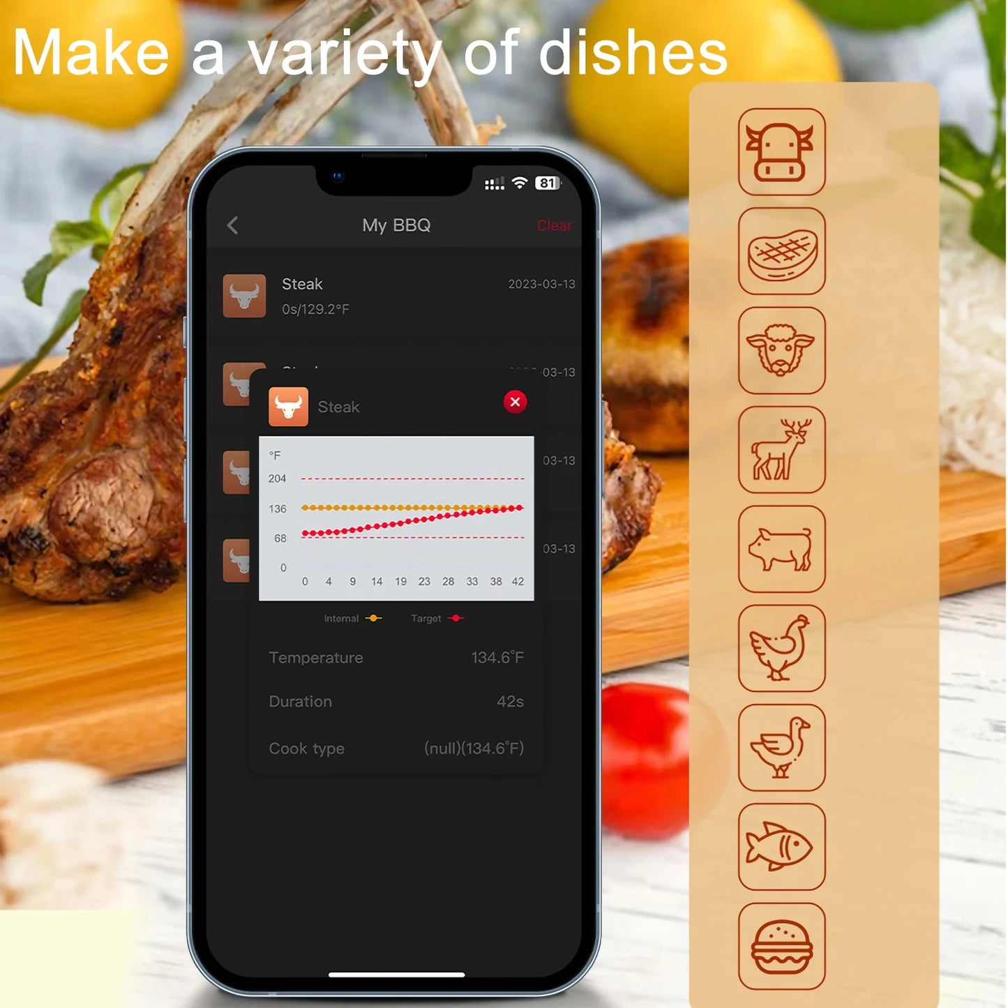 Wireless Bluetooth BBQ Probe Thermometer for Kitchen & Barbecue - Accurate Food & Meat Temperature Measurement