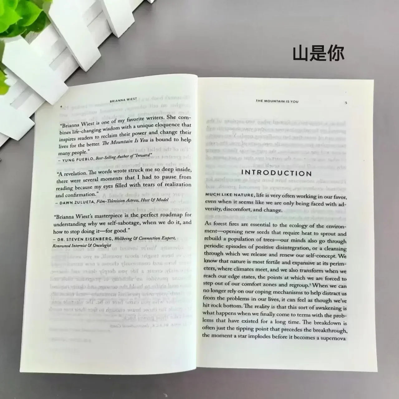 The Mountain Is You: Transforming Self-Sabotage Into Self-mastery English Books Birthday Gifts